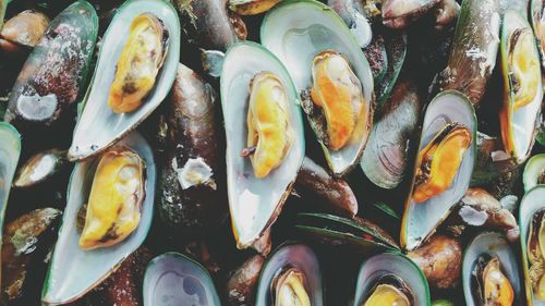 Full frame shot of mussels for sale at fish market