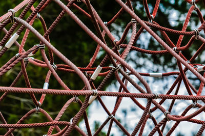 Close-up of chainlink fence against trees