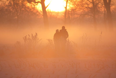 Rear view of silhouette people on land against sky during sunset