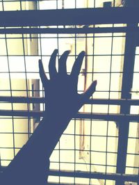 Silhouette hand against window