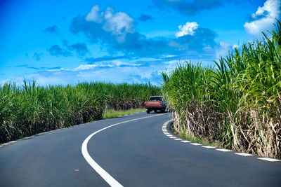 Road amidst plants and trees against sky