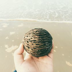 Close-up of hand holding dried fruit at beach