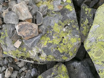 High angle view of pebbles on stone wall