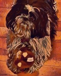 Close-up of cute cat