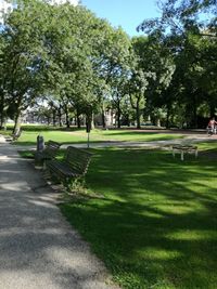 Trees in park