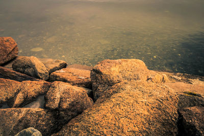 High angle view of rocks on beach