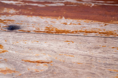 Full frame shot of wood