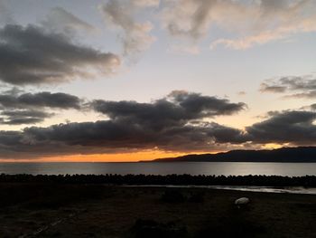 Scenic view of field against sky during sunset
