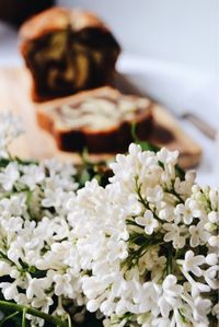 Close-up of flower bouquet