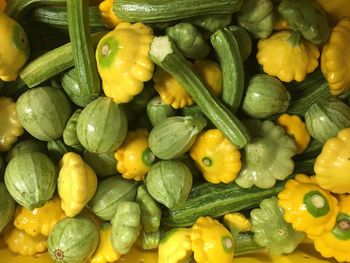 Full frame shot of mixed multicolored patty pan squash for sale iat market