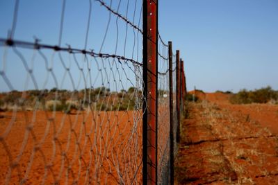 Rabbit proof fence 