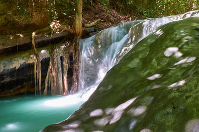 Scenic view of waterfall in forest