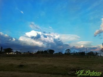 Scenic view of field against sky