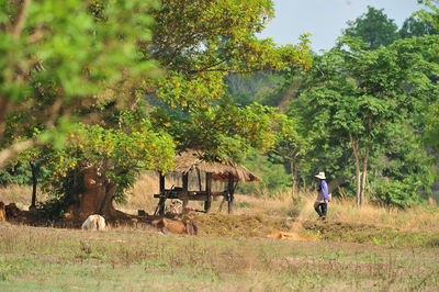 People on field against trees