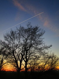 Low angle view of silhouette tree against sky during sunset