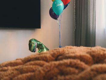 Dinosaur and balloons