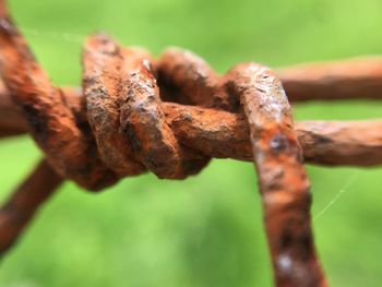 Close-up of rusty metal