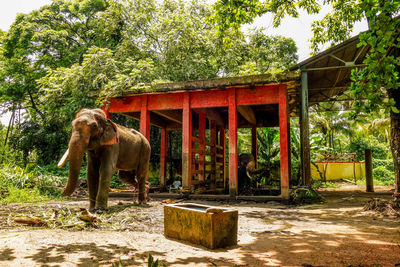 Built structure with trees in background