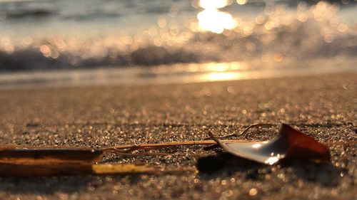 Close-up of wet sand on beach against sky