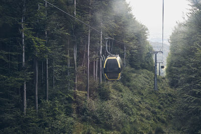 Cable car go to top of mountain among trees in forest on summer sunny day