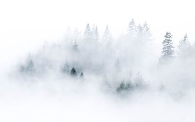 Scenic view of trees on mountain against sky