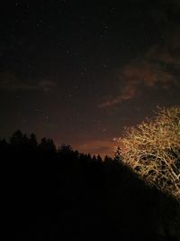 Low angle view of silhouette trees against sky at night