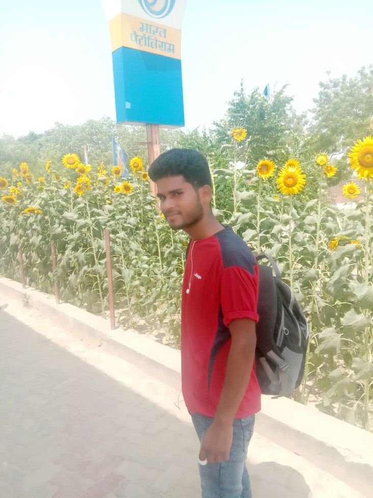 one person, yellow, nature, plant, flowering plant, three quarter length, flower, standing, day, men, casual clothing, sunlight, child, leisure activity, young adult, sunflower, outdoors, growth, smiling, lifestyles, holding, looking, sky, adult, childhood, emotion, clothing, person, beauty in nature, side view, happiness, sunny