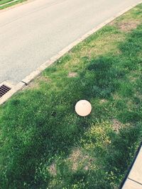 High angle view of ball on field