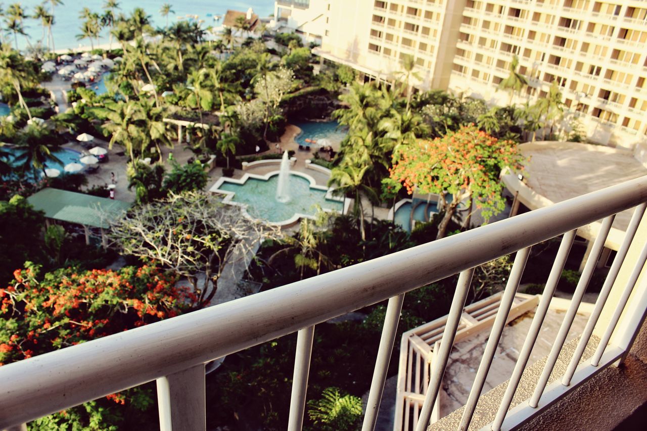 HIGH ANGLE VIEW OF TREES AND PLANTS IN YARD AGAINST BUILDING