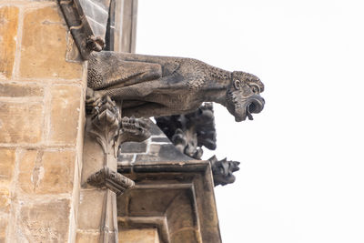 Close up view of gargoyle in the cathedral church sacred vitus.  prague, czech republic