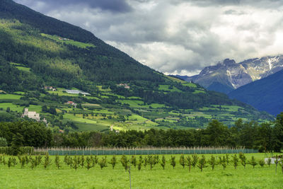 Scenic view of green landscape and mountains against sky