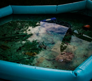 High angle view of turtle in water