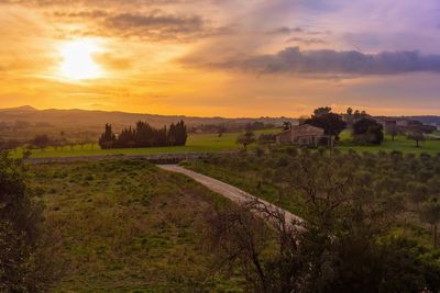 Scenic view of field against sky during sunset