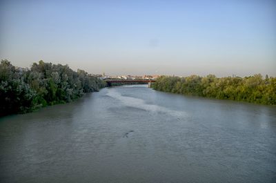 River amidst trees against clear sky