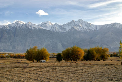 Scenic view of field and mountains against sky