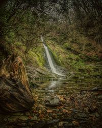 Scenic view of waterfall in forest during autumn