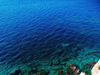 Scenic view of sea