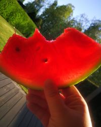 Close-up of hand holding red leaf