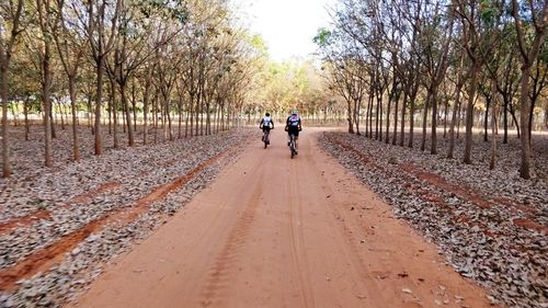 Rear view of people walking on footpath during autumn