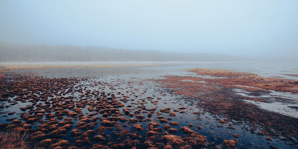 Scenic view of sea against clear sky