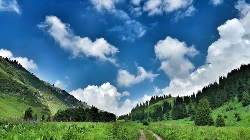 Scenic view of landscape against cloudy sky