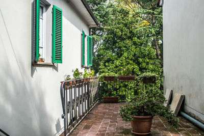 Potted plants on balcony against building