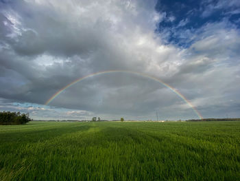 Scenic view of field against sky