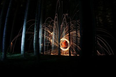View of fireworks in the forest at night