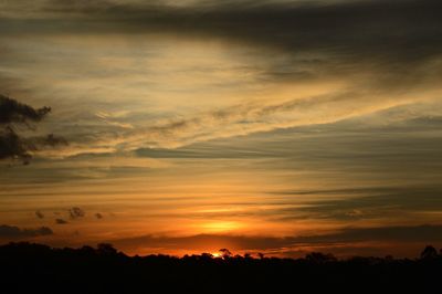 Silhouette trees against dramatic sky during sunset