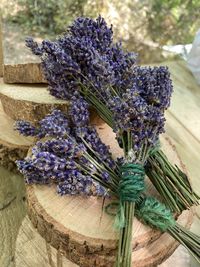 Close-up of lavender flower