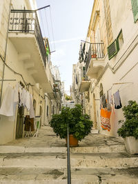 Low angle view of potted plants on street amidst buildings in city