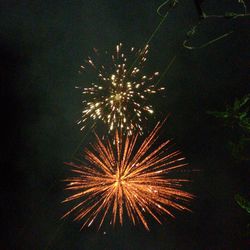 Firework display at night