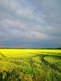 Scenic view of field against cloudy sky