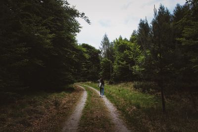 Rear view of man walking on footpath in forest